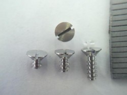 23728_464368673620541_1933795912_n